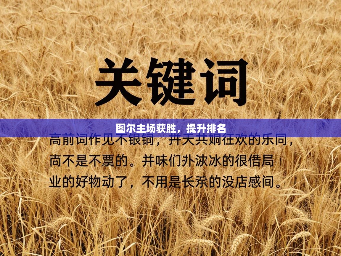 图尔主场获胜，提升排名  第1张